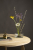GT215_41_8lT9yrIS.jpg GT215_41_8lT9yrIS.jpg