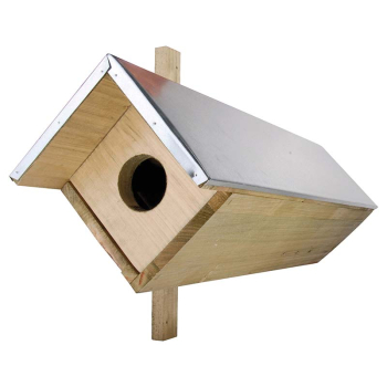 LITTLE OWL BOX FSC 100% LITTLE OWL BOX FSC 100%