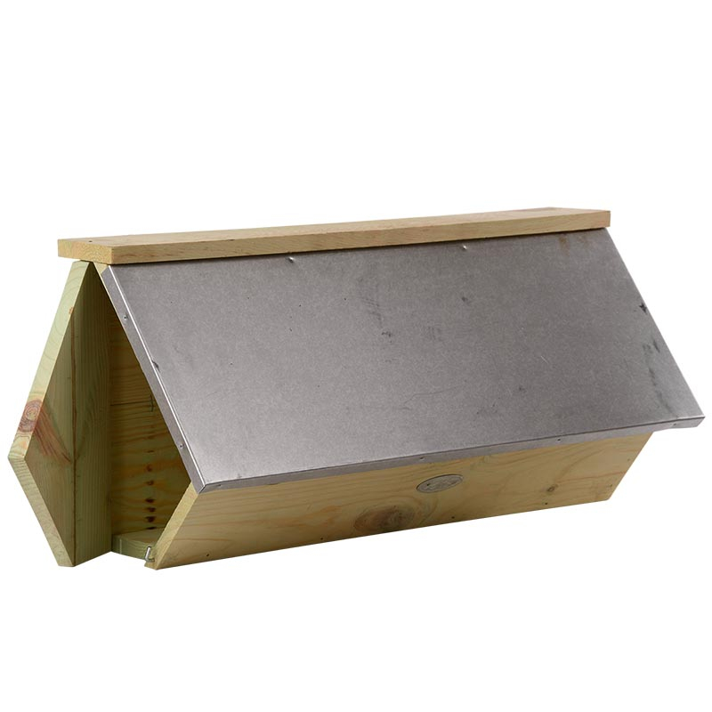 Swifts, Swallows & House Martins SWIFT NESTING BOX - Fallen Fruits Ltd